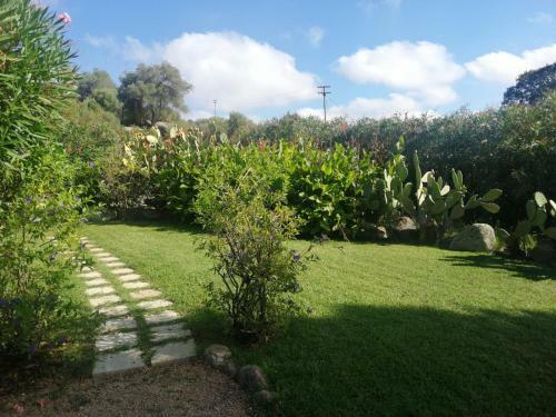 Impeccable 6-bed Villa In Luogosanto