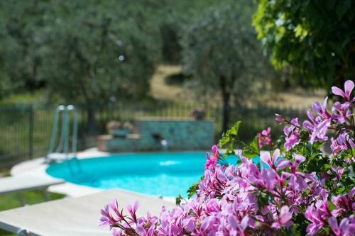 Pancole Apartment Sleeps 6 With Pool Air Con And Wifi