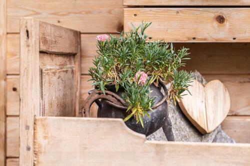 Apartamento Alpenblick - App Speikboden