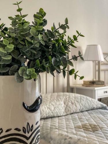 Apartamento Loft King