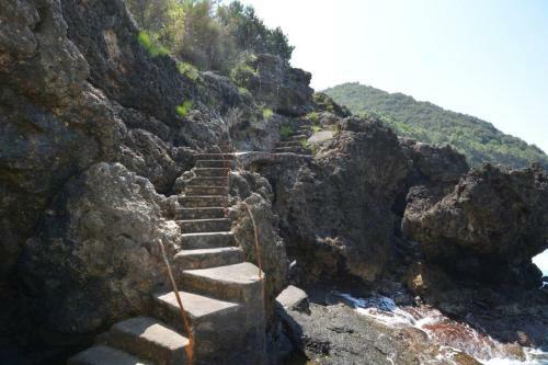 Luxury Villa 7 Bd 5ba ' Private Access To The Sea'