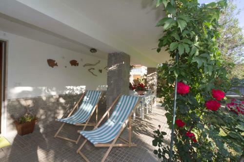 Apartamento Oleandro Rosa