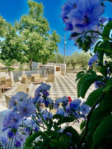 Bed & Breakfast I Gelsomini