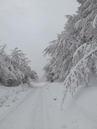 Europing Village Marsia Abruzzo