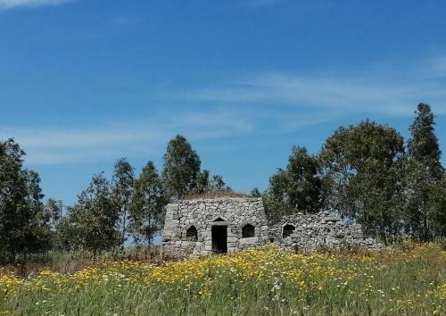 Bed & Breakfast Nicuzza