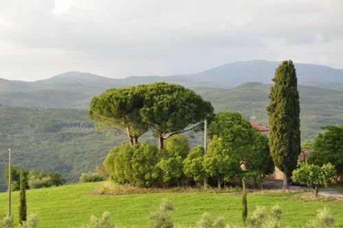 Rustic Tuscan Apartment