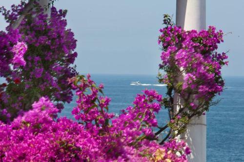 San Montano Apartment Sleeps 6 Pool Air Con Wifi