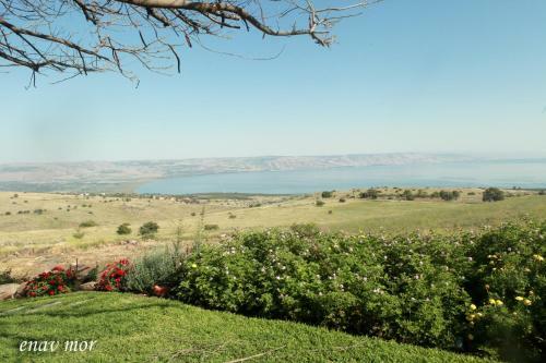 Apartamento Sea Of Galilee Site