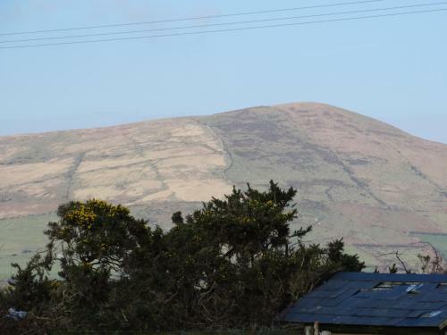 Bed & Breakfast Dunlavin House
