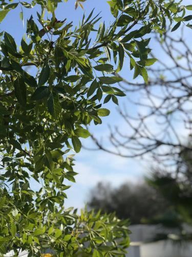 Apartamento Villa Assunta Salento