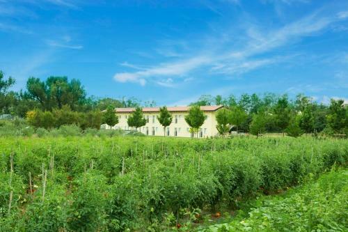 Agroturismo Agriturismo Dolce Luna