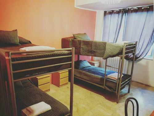 Lion Hostel