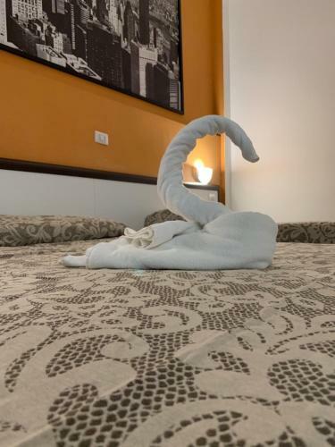 Lion Hostel