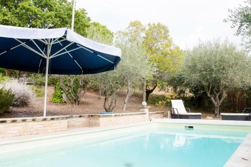 Home Set In Olive Grove