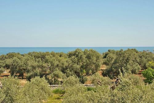 Monopoli Villa Sleeps 6 Pool Air Con Wifi