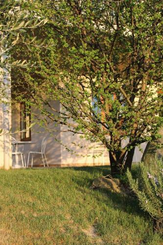 Apartamento Le Sette Vie Holiday Homes
