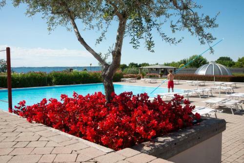Villa Realax Al Porto Cs-t04466