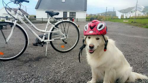 Teach Cruachan Bed And Breakfast