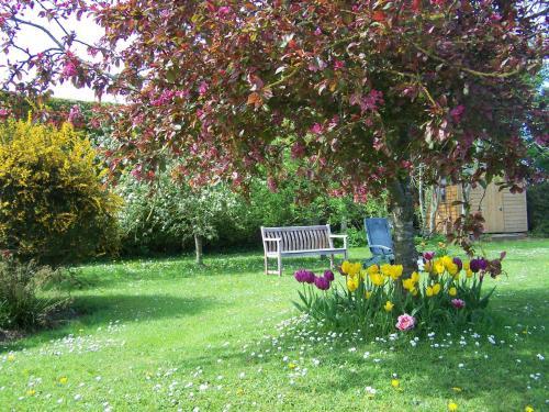 Evergreen Malahide B&B
