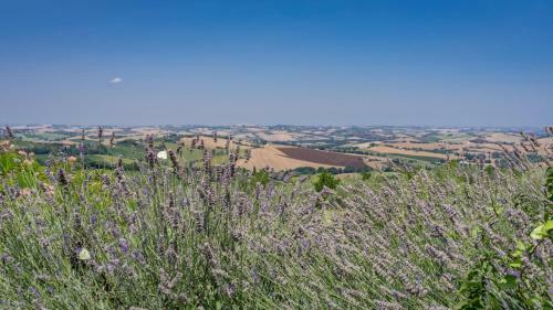Villa Casale Verdicchio 10&2