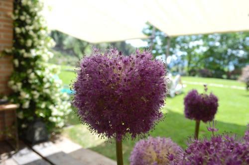 Bed & Breakfast Il Casale Al Colle