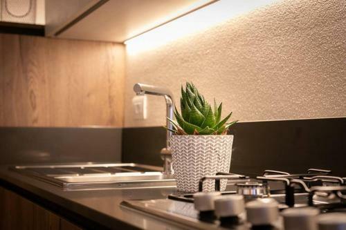 Apartamento Opio 60
