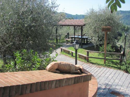 Apartamento Collealceppo - Appartamento Le Sorbe
