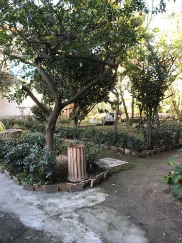 Bed & Breakfast Il Giardino Di Vico Neve