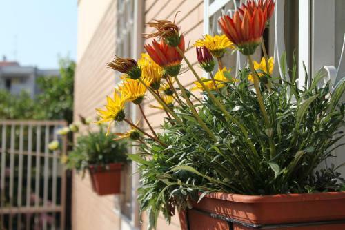 Casa Teresa Bed & Breakfast