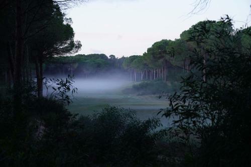 Hostal Is Arenas Private Golf & Foresterie Boutique Resort
