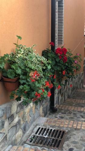 Apartamento La Casetta Di Elena