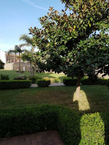 Hotel Giardini Del Novecento
