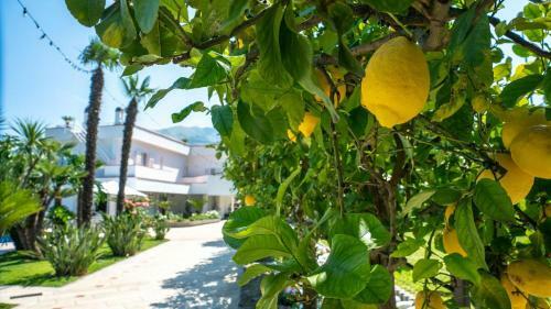 Villa In Seiano Sleeps 10 With Pool Air Con And Wifi