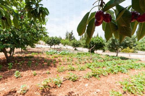 Apartamento Helloapulia Villa Flora