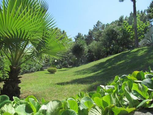 Apartamento Terraces Noli