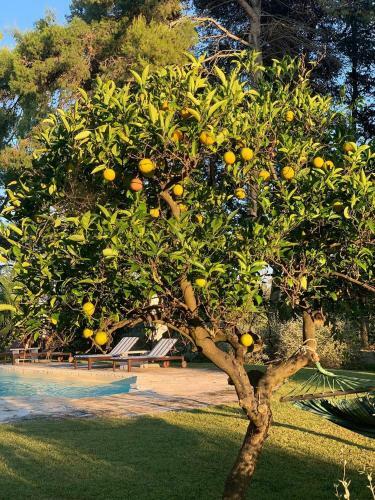 Hotel Masseria San Domenico Oria