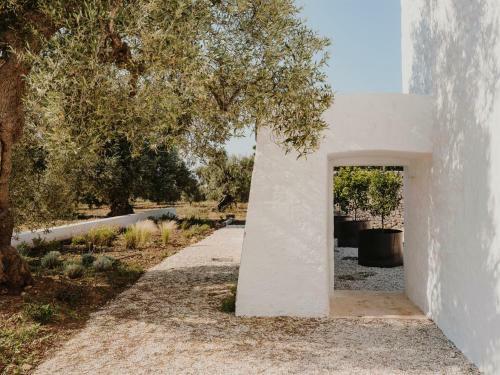 Bed & Breakfast Masseria Dagilupi