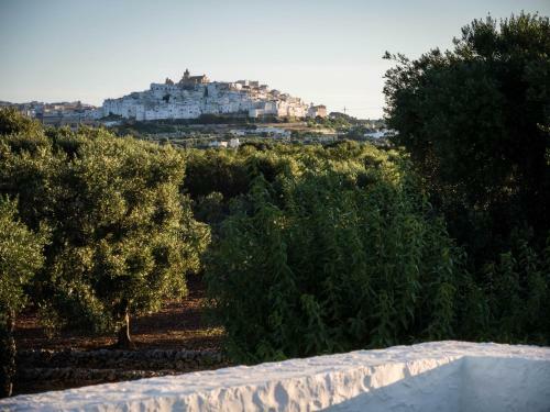 Bed & Breakfast Masseria Dagilupi