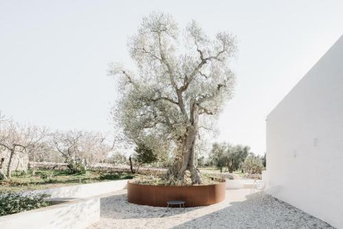 Bed & Breakfast Masseria Dagilupi