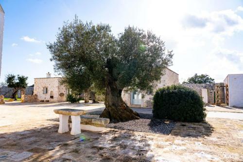 Agroturismo Masseria Ayroldi