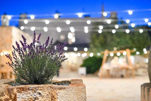Agroturismo Masseria Ayroldi