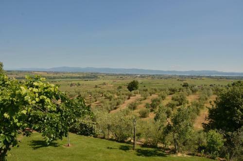 Villa Il Pergolato