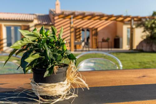 Agroturismo Tenuta Petra Bianca