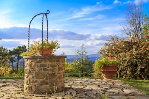 Agroturismo Borgo Palazzuolo Vecchio
