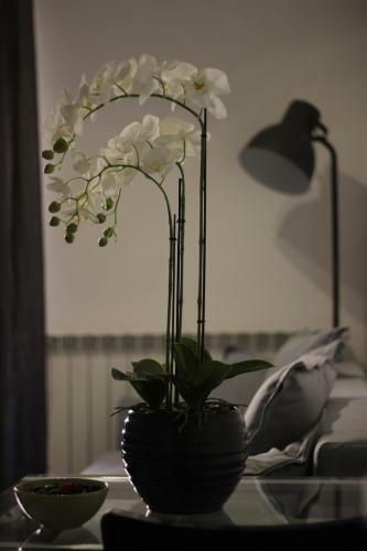 B&B Gallidoro