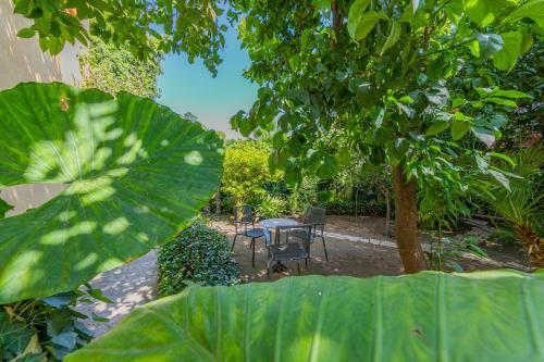 Apartamento Rentopolis Villa Mezzarancia
