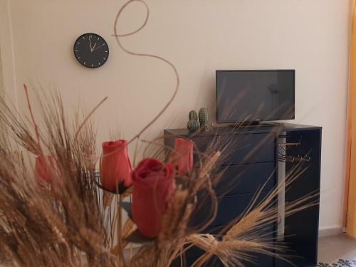 Runful�a Apartment