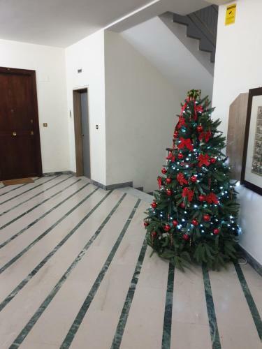 Bed & Breakfast Alba Central City
