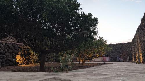 Bed & Breakfast Horizon Pantelleria