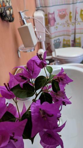 Bed & Breakfast Horizon Pantelleria